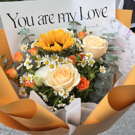 月球背面于2023-05-30 16:57发布的图片