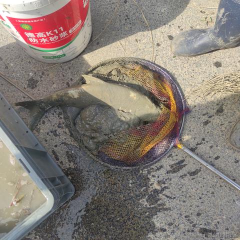 再多看一眼就会爆炸于2022-11-05 12:35发布的图片