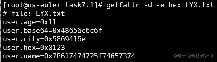 image-20211226162923025