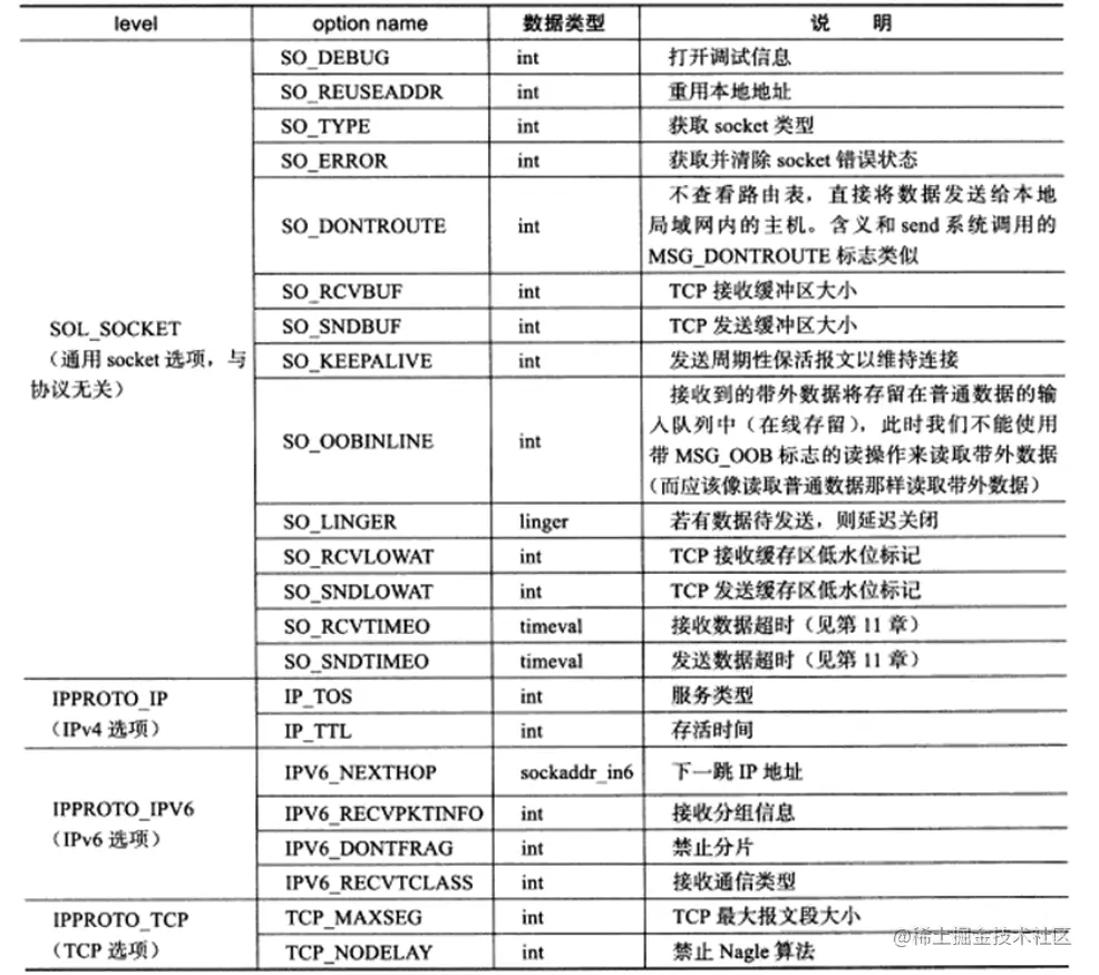 socket选项