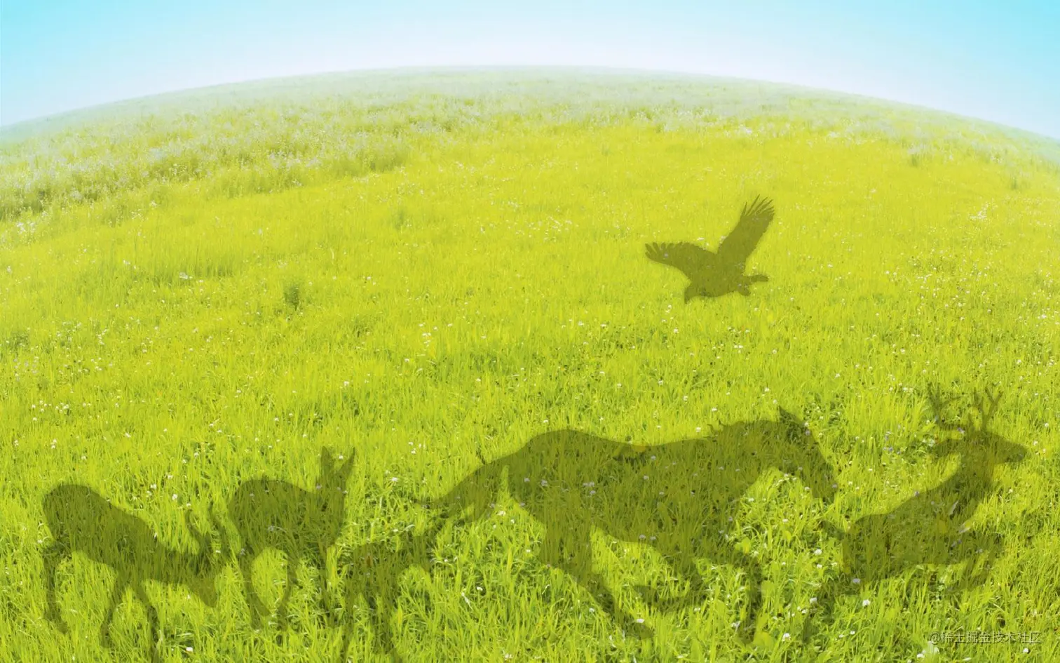 bcc633a6c26528720cf16ed170f6a141