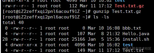 image-20220312162204542