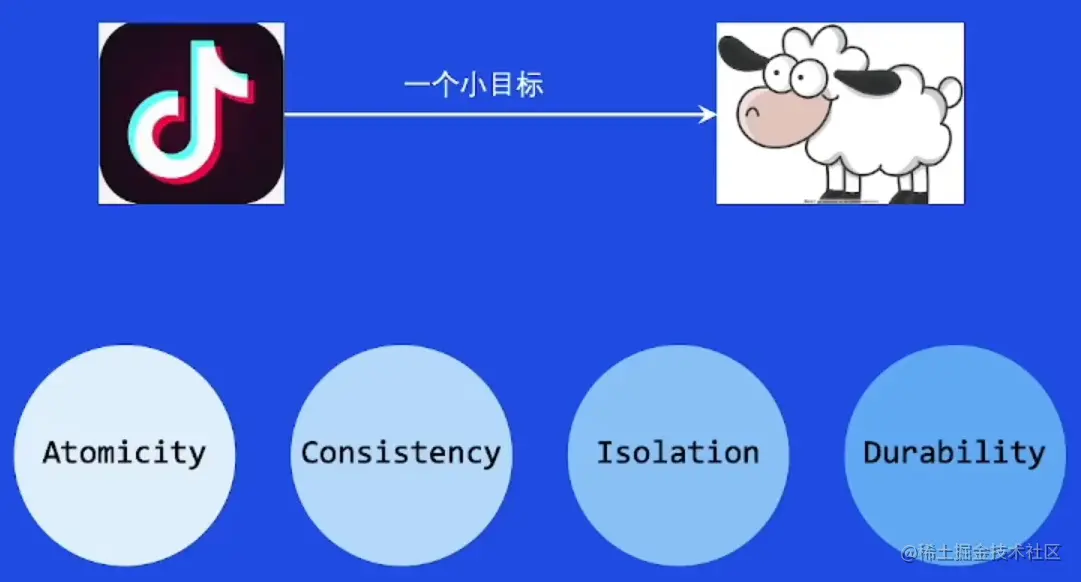 image-20230212202223788.png