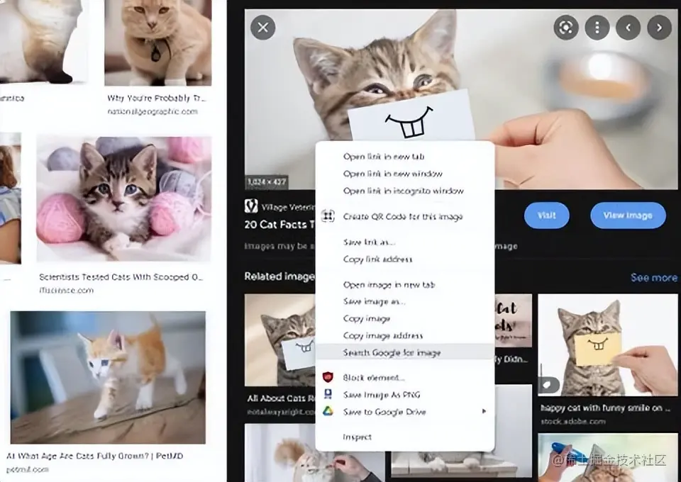 2022年最好的谷歌浏览器扩展程序