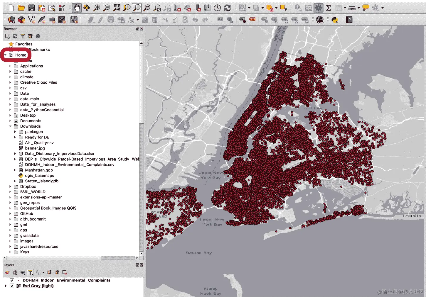显示在 QGIS 界面中的 DOHMH 室内环境投诉数据集；左侧面板是浏览器，右侧面板是画布