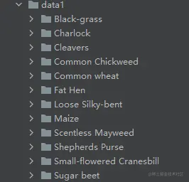 image-20220221153058619