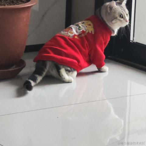 CN千石于2023-01-21 14:10发布的图片