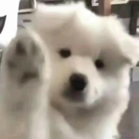 JellyfishX于2023-06-16 14:30发布的图片