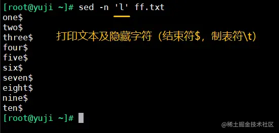 4 打印文本及隐藏字符.png