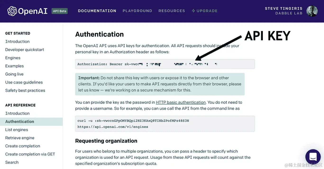 图 4.9 – 文档中的 API 密钥