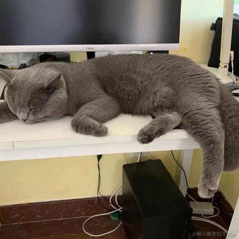 一只小橘猫于2020-12-10 15:41发布的图片