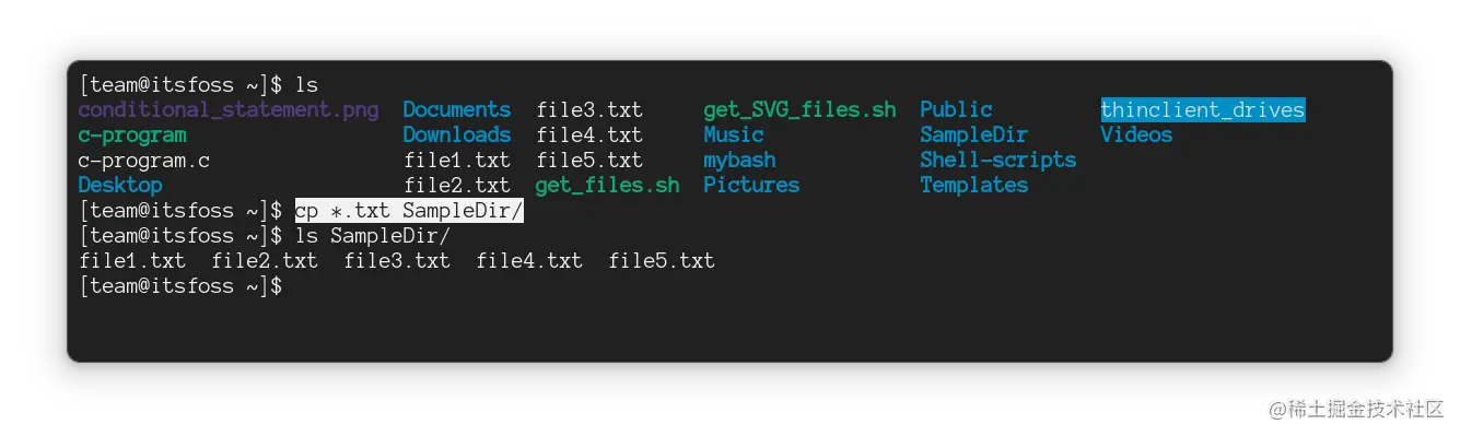 使用通配符扩展复制多个文件，比如所有 .txt 后缀的文件