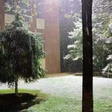 天空之城53于2023-04-22 10:32发布的图片