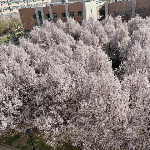 从0开始的go世界于2023-04-16 21:36发布的图片