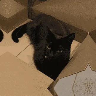 填充为 25 和填充模式为 reflect 的 Pad