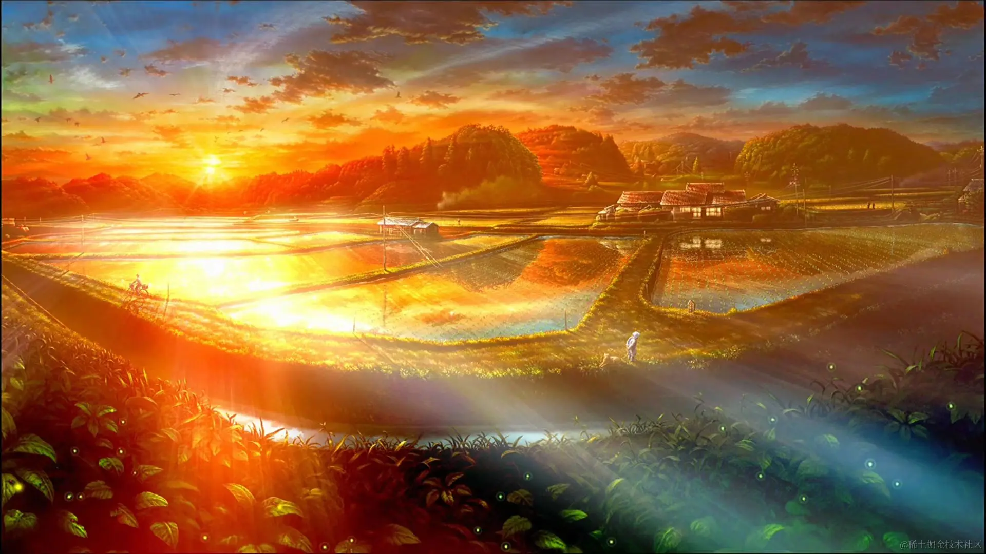 image-20220803110928018