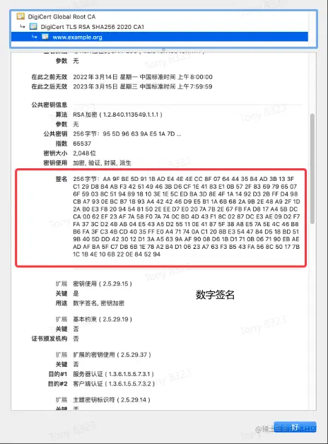 image-20230610101432484