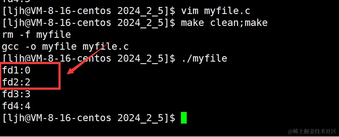 image-20240205233930351