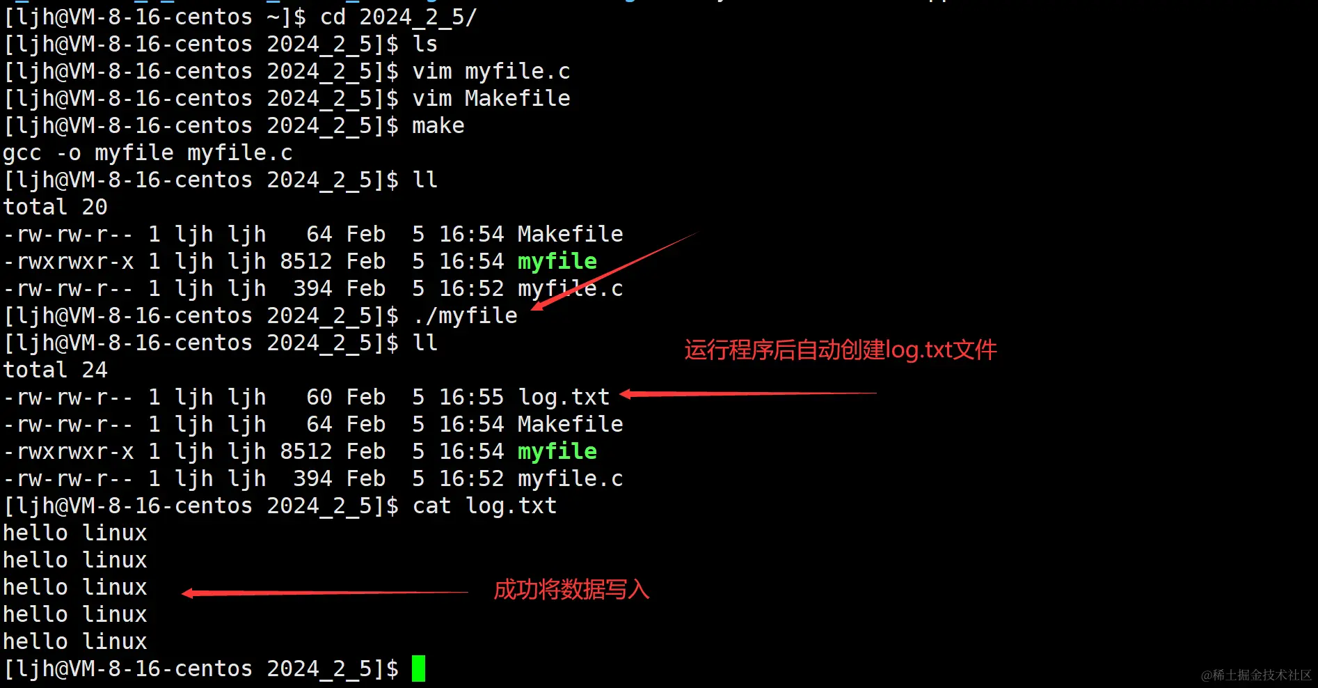 image-20240205165703433