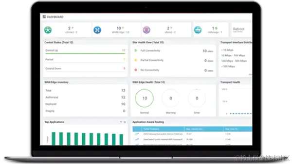 面向 SD-WAN 和路由的 Cisco DNA