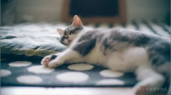 image-20200810131553441