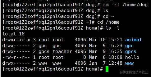 image-20220310154155891