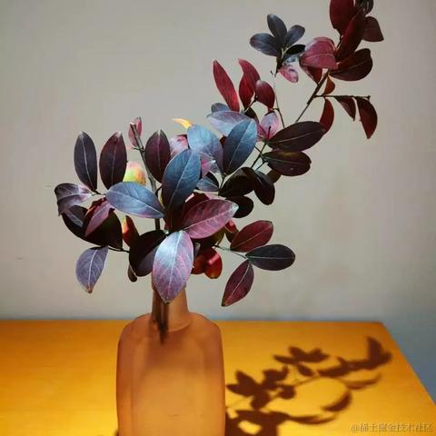 汽水味的小盆友于2022-11-23 14:58发布的图片