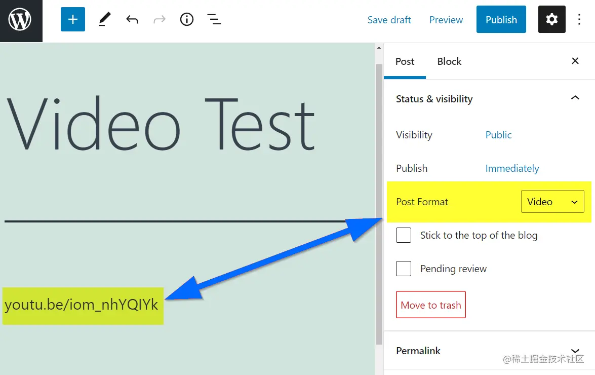 Screenshot showing the WordPress post editor with a YouTube URL in the body of the post, and the post format type set to Video