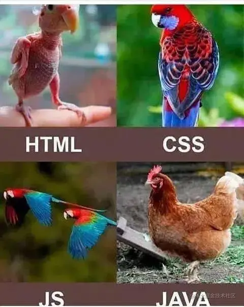 a51a3172af9048ba2aaa847431f53938