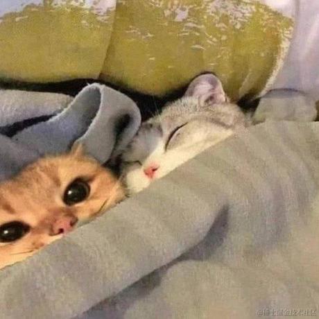 新世纪玉玉战士于2022-12-14 00:27发布的图片