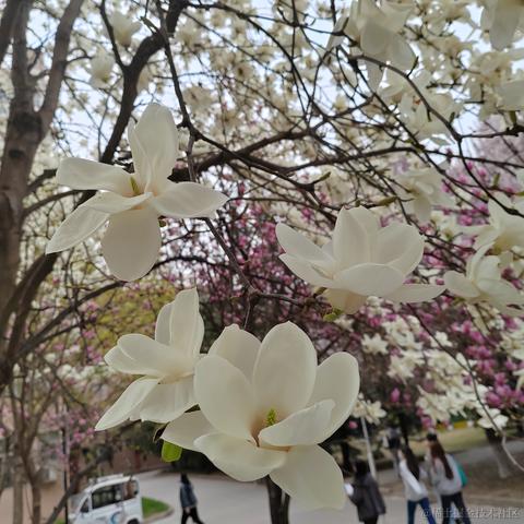 从0开始的go世界于2023-04-16 21:36发布的图片