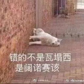 乃宝妈妈爱你于2022-11-28 15:29发布的图片