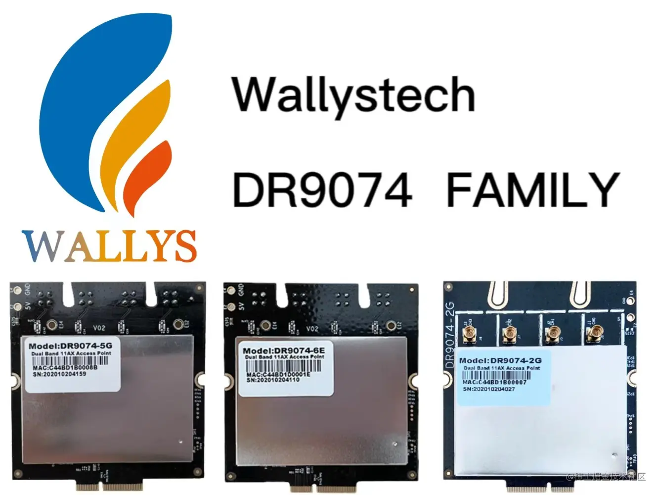 No alt text provided for this image