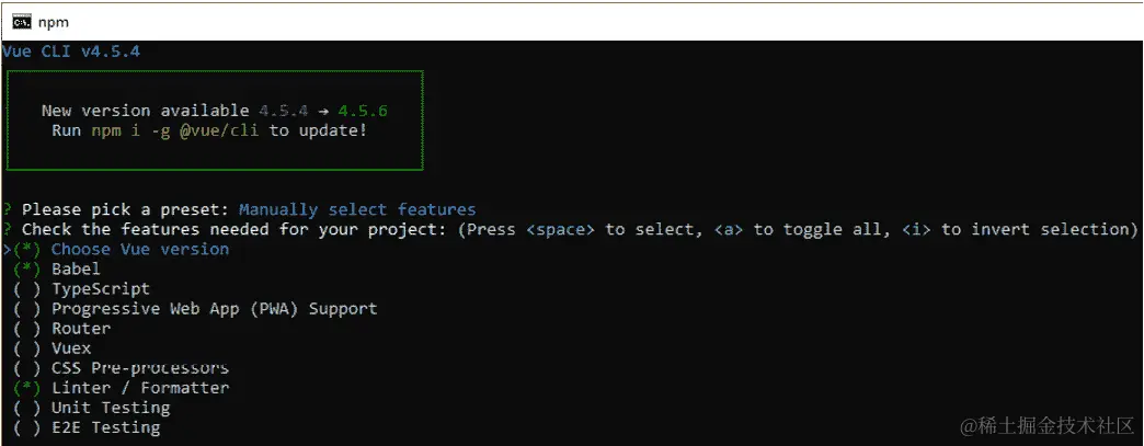 图 3.2 - 我们应该为这个项目选择的选项