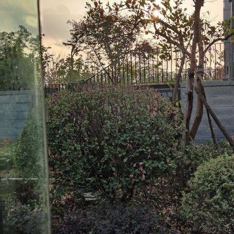 已注销于2022-11-20 16:01发布的图片