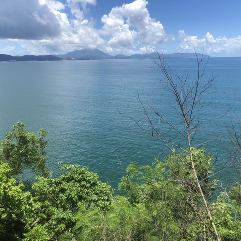 于2024-07-09 15:25发布的图片