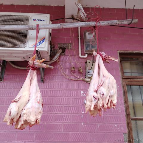 晴天多云于2022-12-11 14:09发布的图片