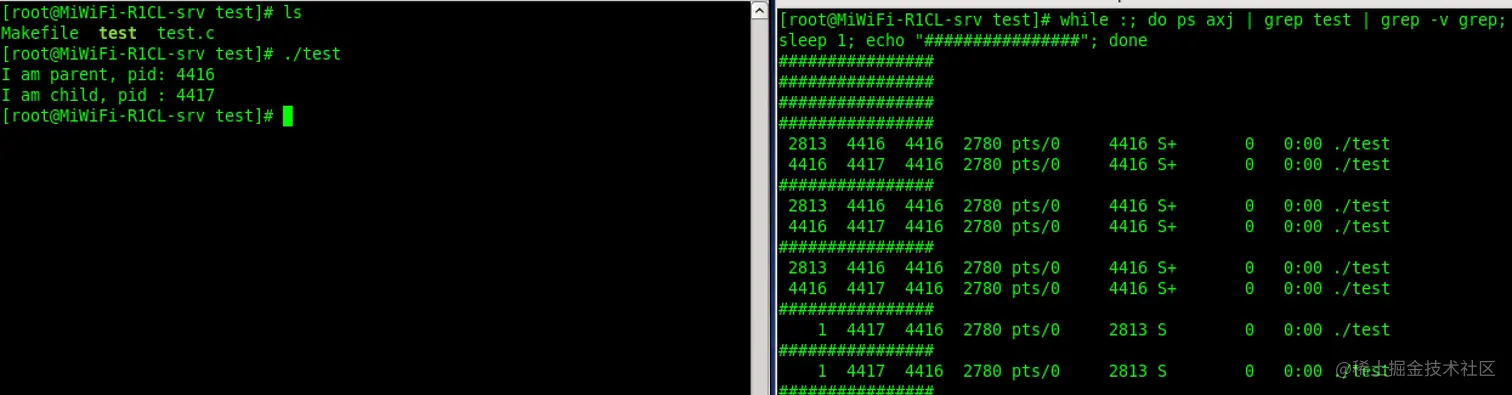 image-20220219234332950