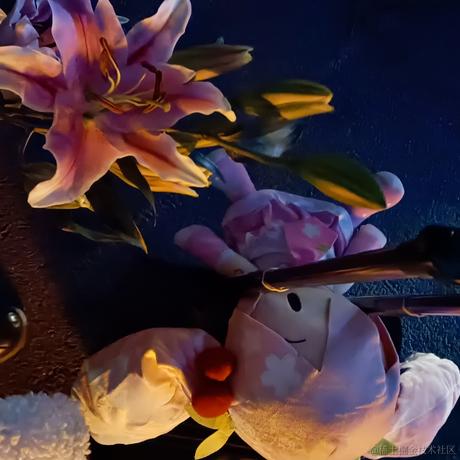 八角茴香听不见人类说话于2022-12-06 20:06发布的图片