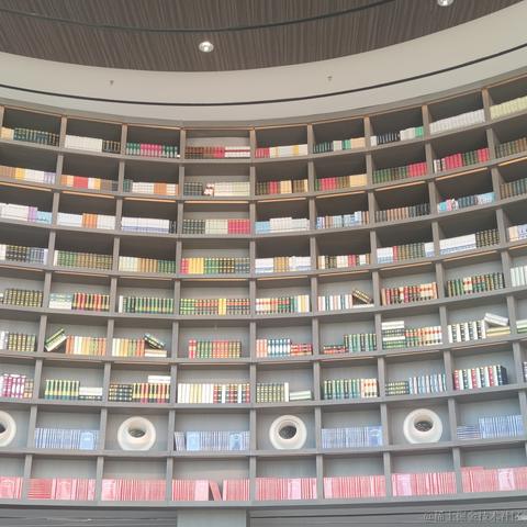 向晚的妻子于2022-11-13 08:57发布的图片