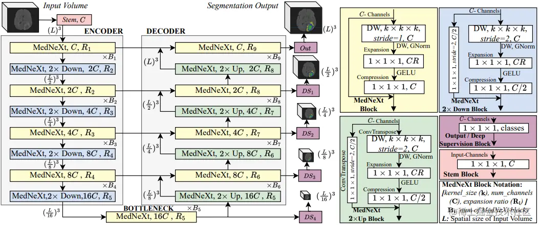 MedNeXt macro and block architecture