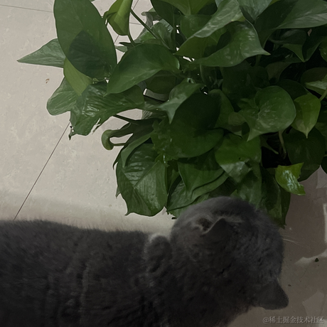 王族蓋于2022-12-07 08:31发布的图片