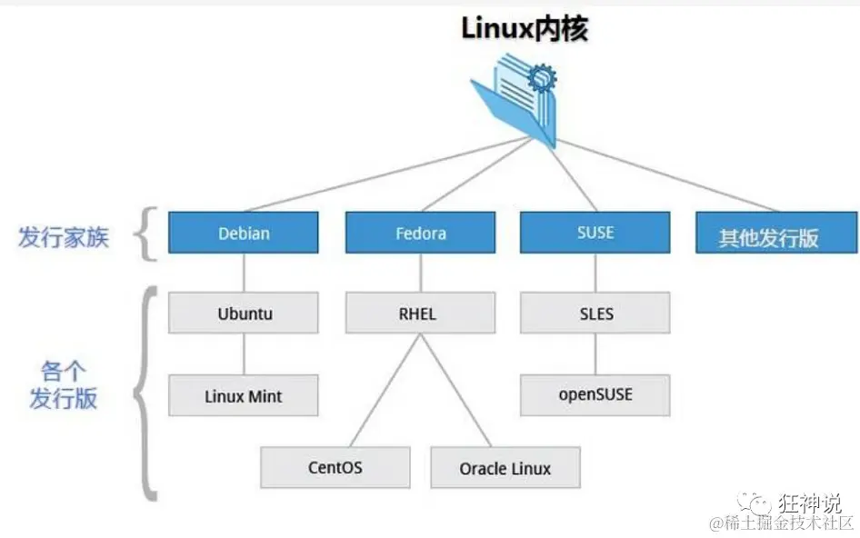 image-20220319002519656