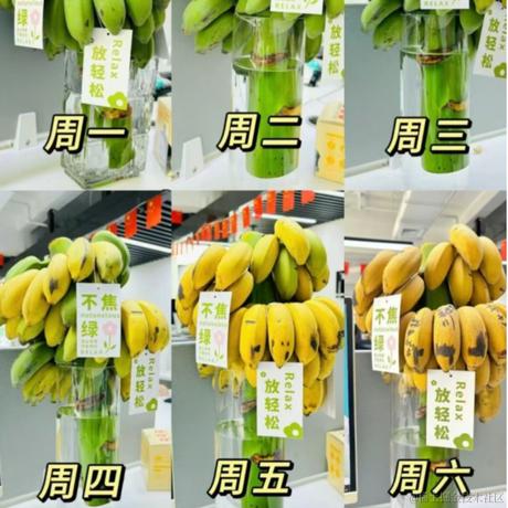 天上的鱼于2024-05-10 15:04发布的图片