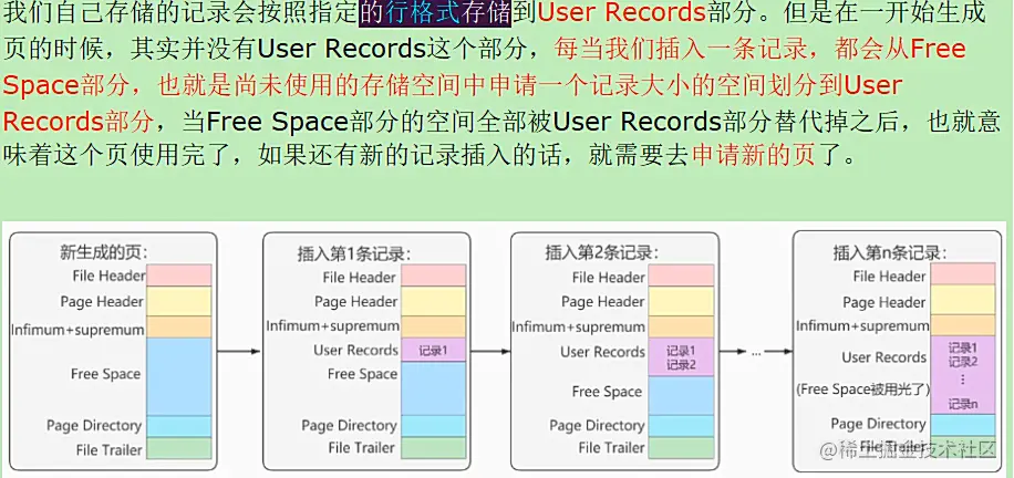 image-20220121110416883