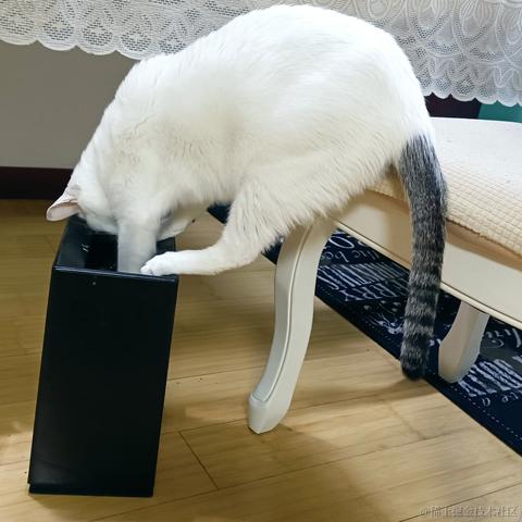 奔跑吧鸡翅于2021-11-15 11:16发布的图片