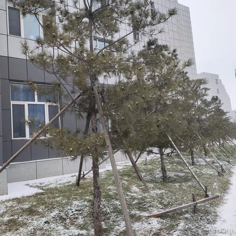 Jellyfisher于2022-11-28 14:59发布的图片