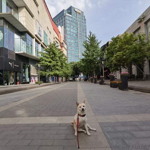 花果山大圣于2021-05-26 07:28发布的图片