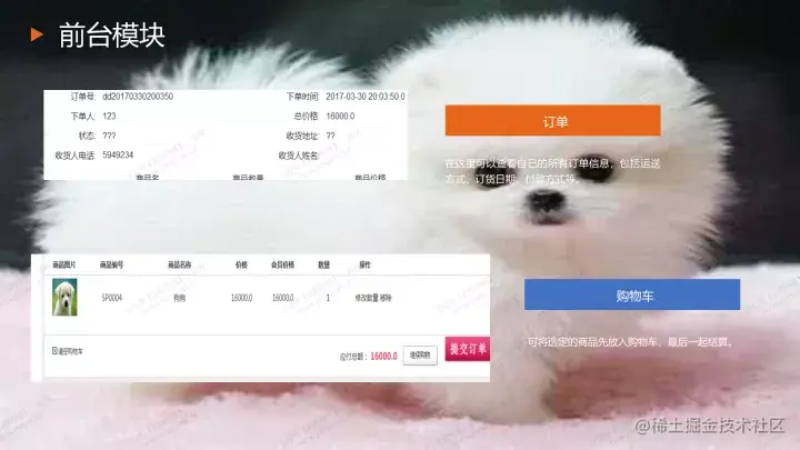 基于java的宠物网站设计与实现的论文PPT源码（包调试运行成功）