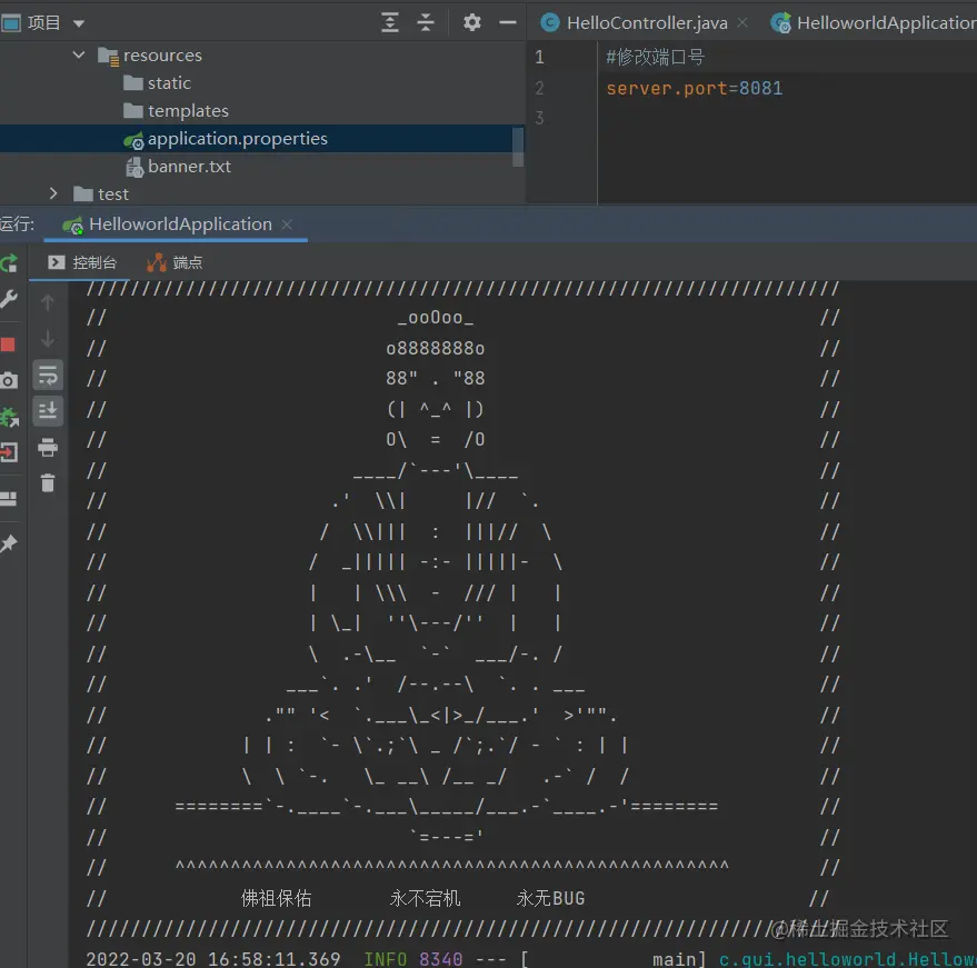image-20220320170329160